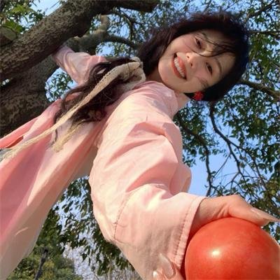 与鲨共游