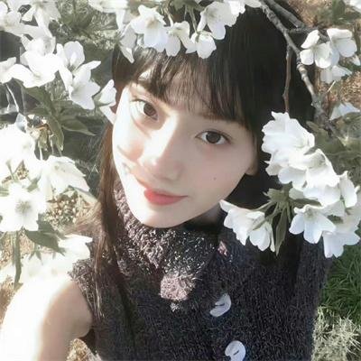 青春之马